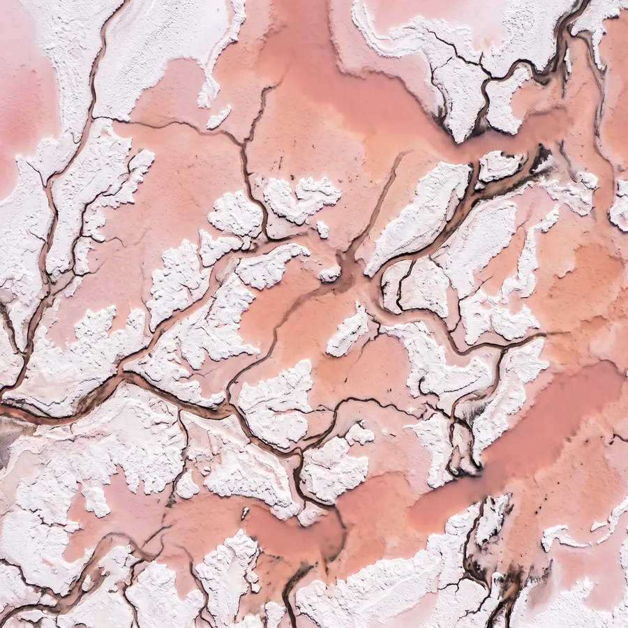 Elin Marklund, Lago salado